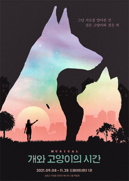 개와 고양이의 시간